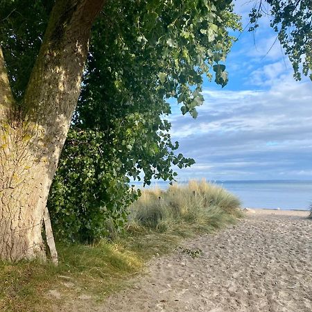 Feriendorf Suedstrand Haus 35 Pelzerhaken Exteriör bild