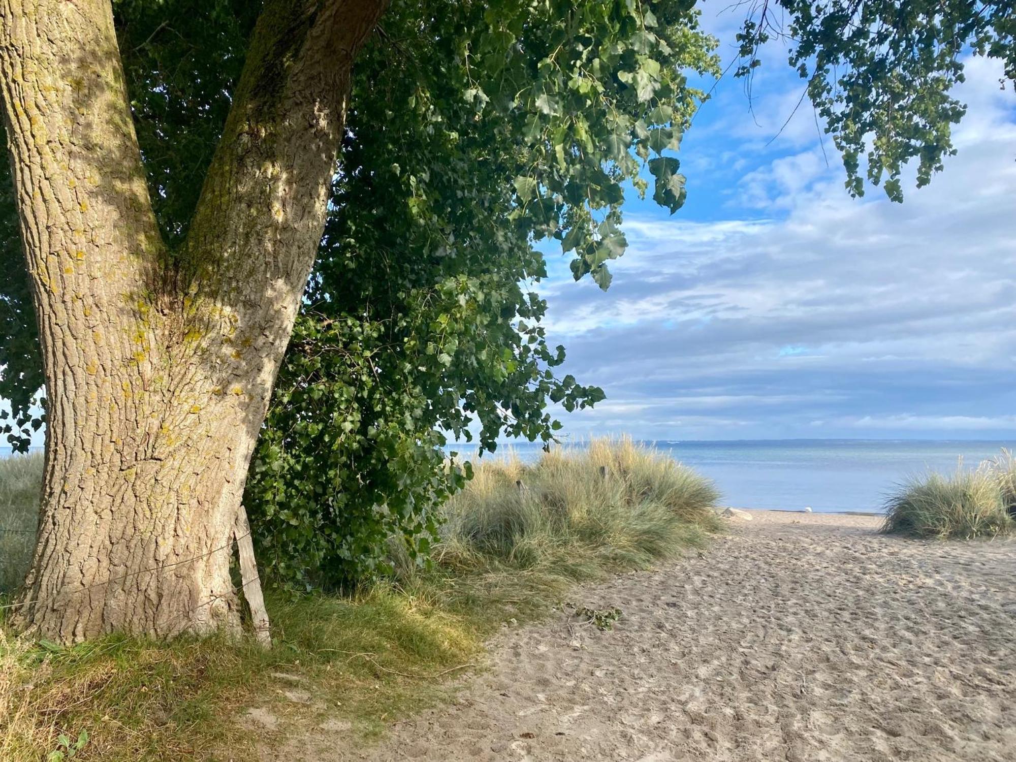 Feriendorf Suedstrand Haus 35 Pelzerhaken Exteriör bild